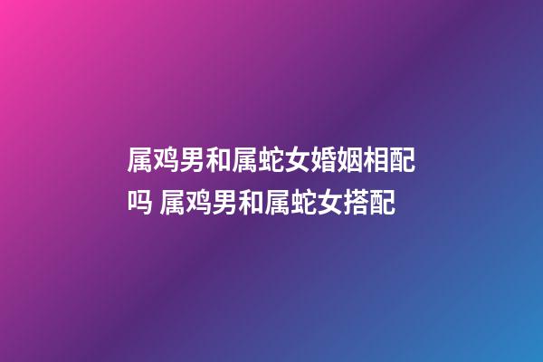 属鸡男和属蛇女婚姻相配吗 属鸡男和属蛇女搭配-第1张-观点-玄机派